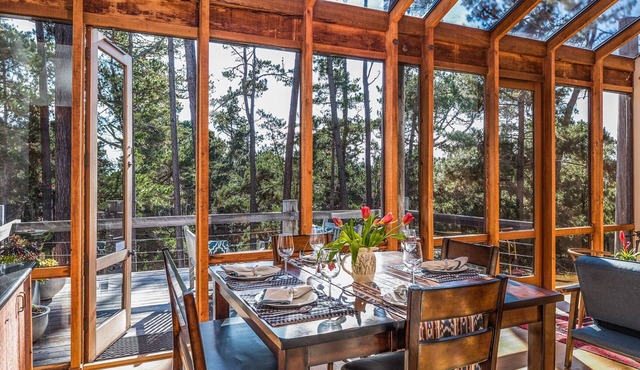 3771 Serenity in the Woods ~ Like a Tree House