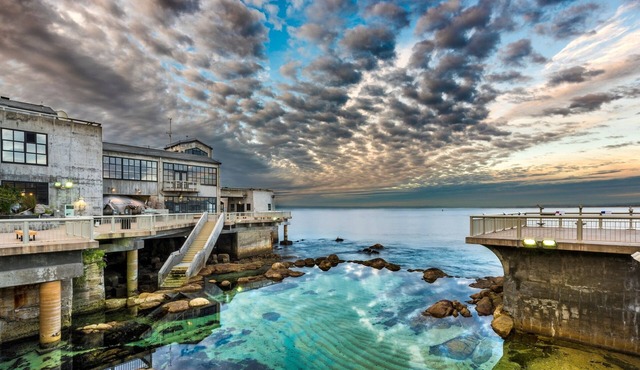 3788 Seagull's Nest ~ Walk to Downtown & Beach, Views of the Bay & Sea Life!
