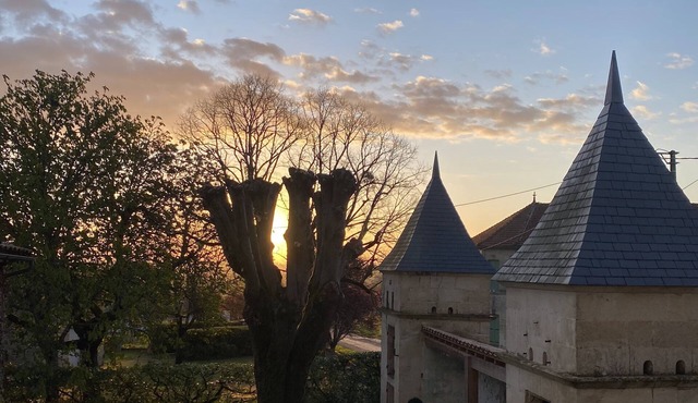 380 m2 mansion 15km from Saint-Emilion