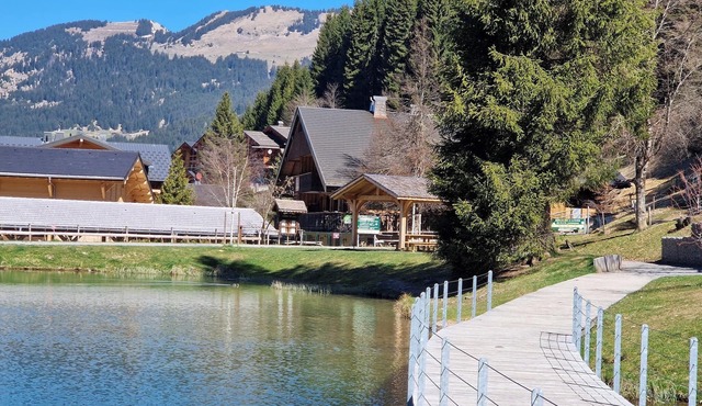 380 m² + sauna + 6 fitness passes for Châtel + 15 free multipasses