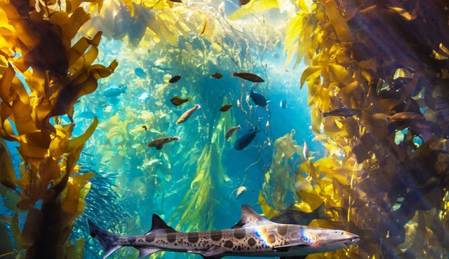 3925 Rays - Enjoy Sunshine, Hiking, Golf, Available for Extended Stays!