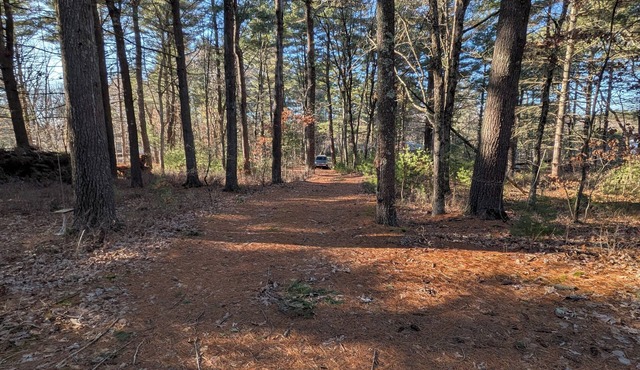 3BD contemporary on 1.3 wooded acres. Hot tub. Fire pit. <4 miles to Gillette.