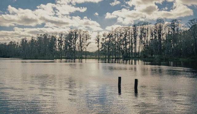 3bdr/2bth Lake Home - Tampa/LUTZ close to all