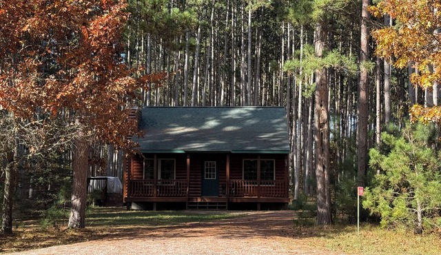 3BR 2BA Log Cabin in Lake Arrowhead-10 min to Sand Valley Golf