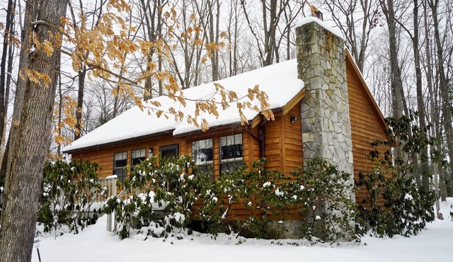 3BR Cabin, Hot Tub, Lake Access, Pet-Friendly – 30% Weekly Discount Excl. Summer