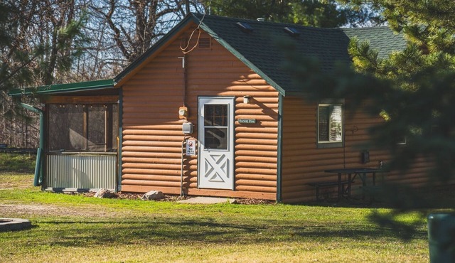 3BR Lakefront Cabin w/Private Launch & Dock