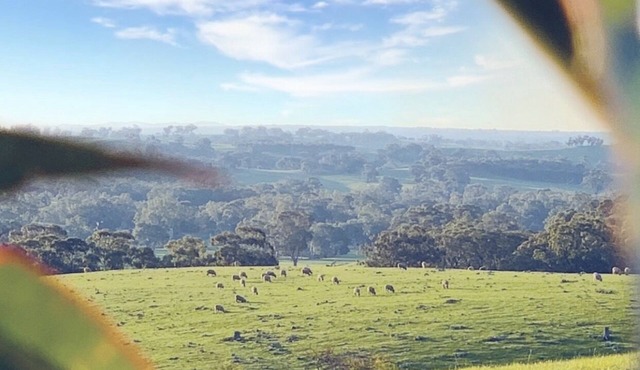 3BR Mia Mia Vistas-Wine Country Retreat with Spa, Fire Pit & Country Vistas