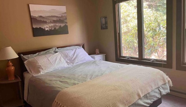 3BR Mtn & Lake Getaway w/6 Beachclub & Pool Passesn