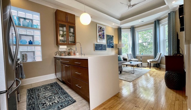 3F Vintage Graystone in Little Italy near loop UIC United Ct & McCormick Place