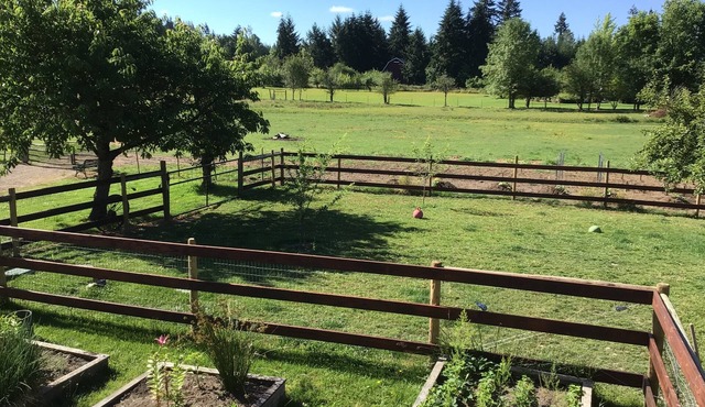 3G Farms studio Gateway to Mount St. Helens & Cowlitz River