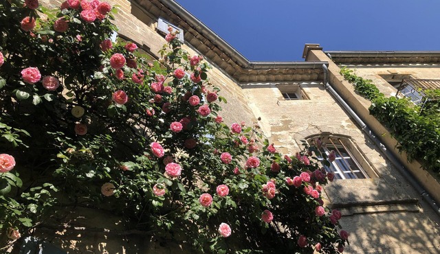 3kms from Uzès in 17th century residence, lovely 3-room apartment with poetic garden