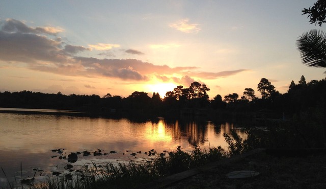 4/2.5 Resort-like lake front saltwater pool home