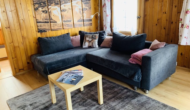 4.5 room holiday home, living near the cable car