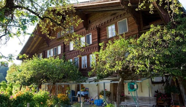 4.5 Zimmer Ferienwohnung Hofstatthaus by Interhome