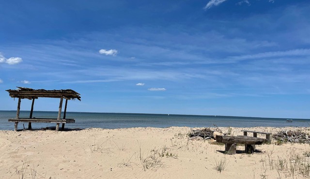 4+ acres with 100 feet of sugar sand beach on Lake Huron