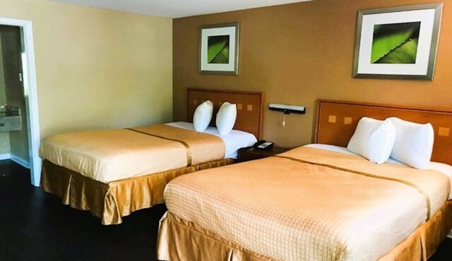 4 Affordable Group-Friendly Rooms - A mile away from The Grove Museum