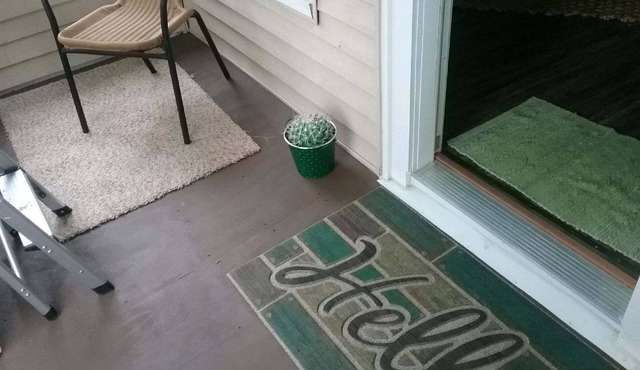 4 Bed, 1 Bathroom Bungalow 8 blocks from Downtown!