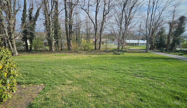 4-bed house w/new HVAC, fiber internet, and private wooded acre in Bristol