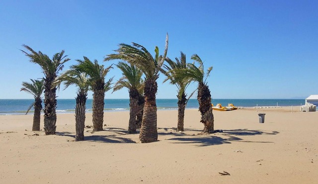 4 bedroom accommodation in Argeliers