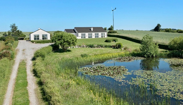 4 bedroom amazing home in Knebel