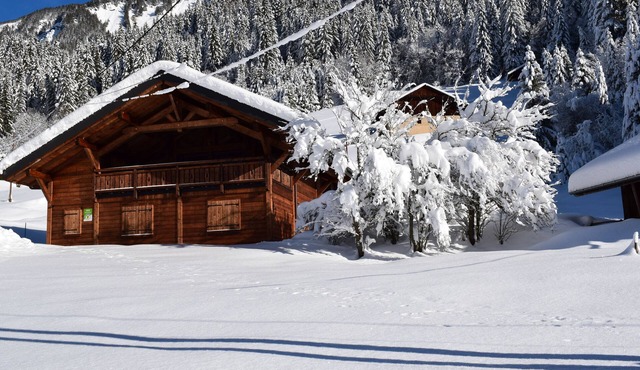 4 bedroom detached chalet ABONDANCE nature environment.