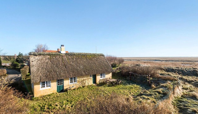 4 bedroom gorgeous home in Fanø