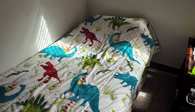 4-bedroom house in Dublin close to ,zoo shopping,restaurant,airport ,5 star