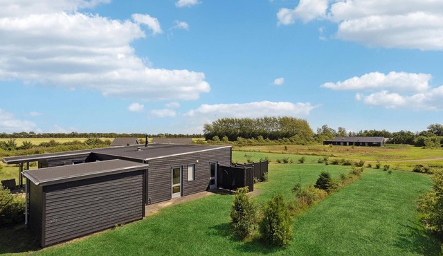 4 bedroom lovely home in Skjern
