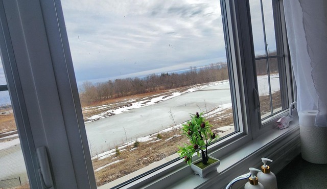 4-bedroom newly built house in Pickering.