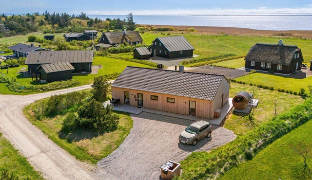 4 bedroom nice home in Skjern