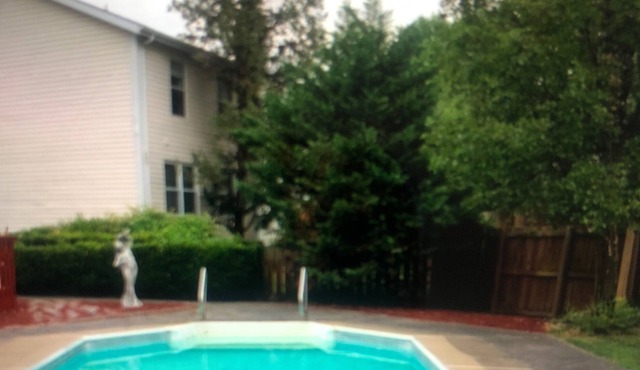 4 bedroom Oasis with Pool in Quiet Neighborhood