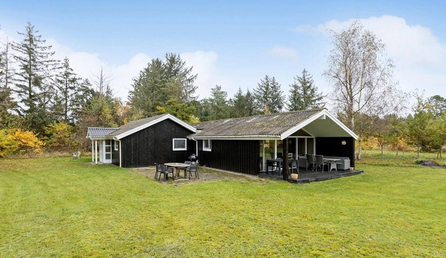 4 bedroom pet friendly home in Bindslev