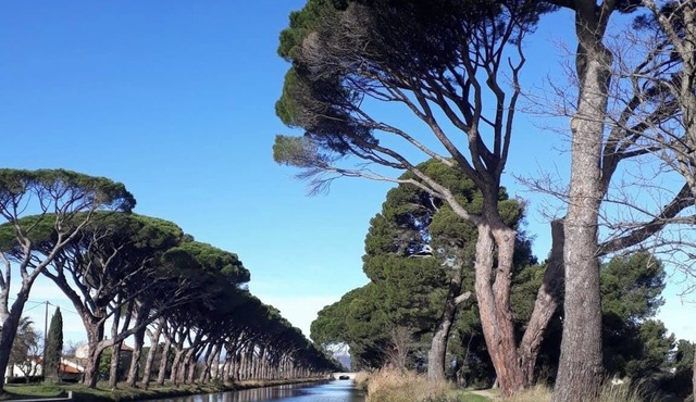 4 Bedroom Private vacation home in SallÃ¨les-d'Aude