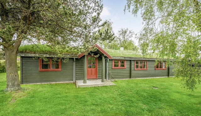 4 bedroom stunning home in Otterup