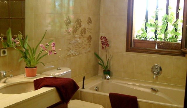4-bedroom villa in peaceful Grasse with swiming pool, WiFi, AC,