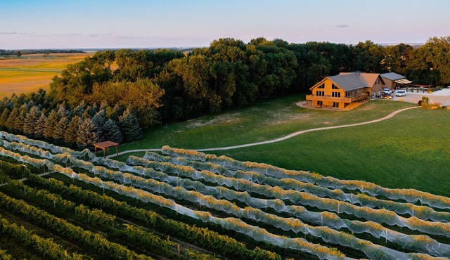 4 bedroom vineyard home near Brookings, SD