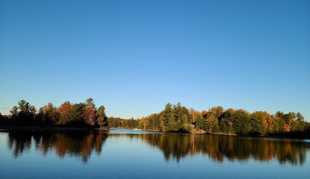 4-bedroom waterfront cottage in Trent Lakes