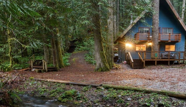 4 bedrooms, hot tub, max 6 adults, gas fireplace Snowline Community Mt. Baker