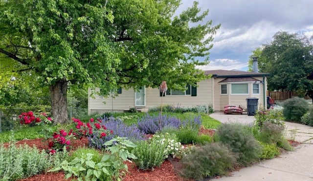 4 Beds, Mountain View, great parks, gateway to the Rockies, washer and dryer