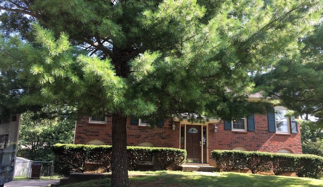 4 BR, 2 story, room to roam w/privacy. Great location, outside eating area.