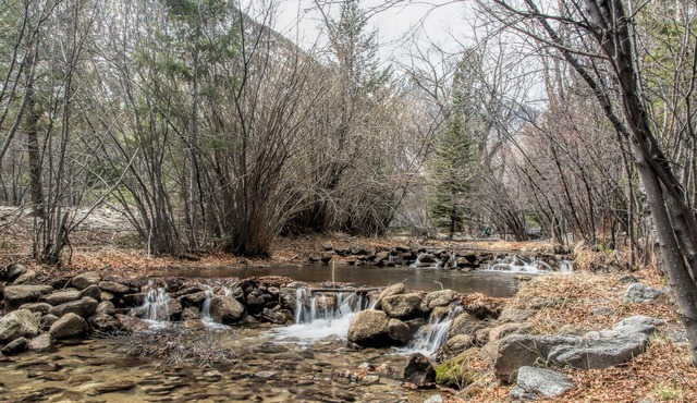 4 BR/4BA En suite Cozy Creekside ~ Mountain Views ~ Hot Tub ~ Fishing ~ Wildlife