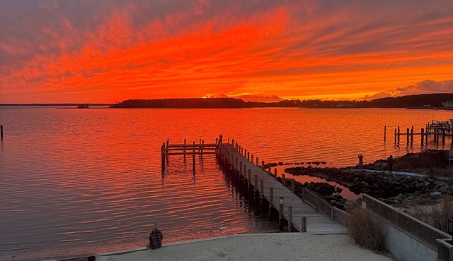 4 Br Luxury Direct Bayfront Screen Porch, Sundeck, Beach, Pier, Walk everywhere!