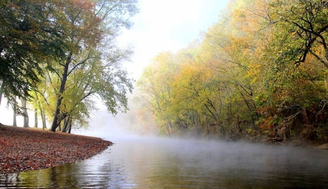 4 BR Ranch Stay on the Duck River with Ponds HS#3