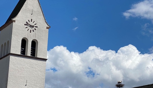 4*charm,near Colmar, Eguisheim,Riquewihr,wine route, garden, enclosed parking lot