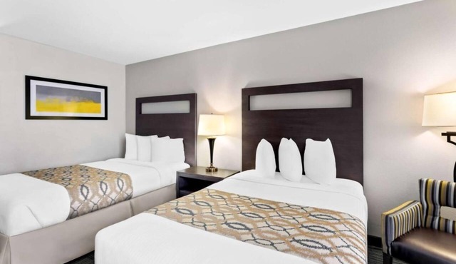 4 Charming Units Near Downtown Naperville - Free Breakfast and Parking!