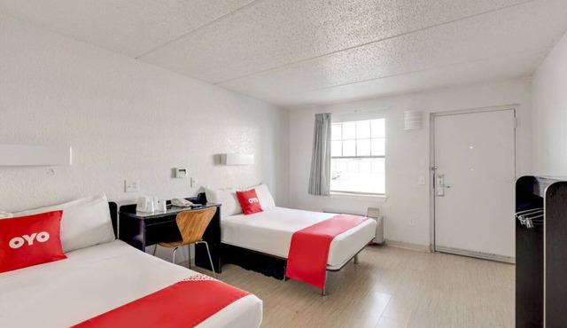 4 Clean + Comfortable Rooms Perfect for Exploring Edith L Moore Nature Sanctuary