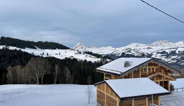 4*contemporary chalet with breathtaking views, 350 m ski lift, in the heart of the diamond area