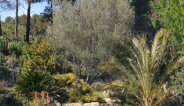 4* gîte in Mas Provençal, private heated pool, spa, absolute peace and quiet.