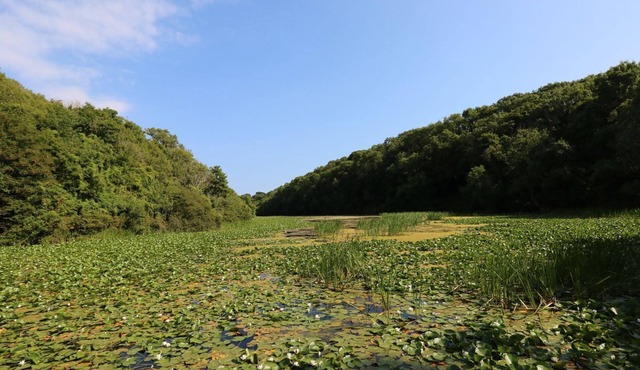 4 HONEYBOROUGH FARM COTTAGES, family friendly in Neyland