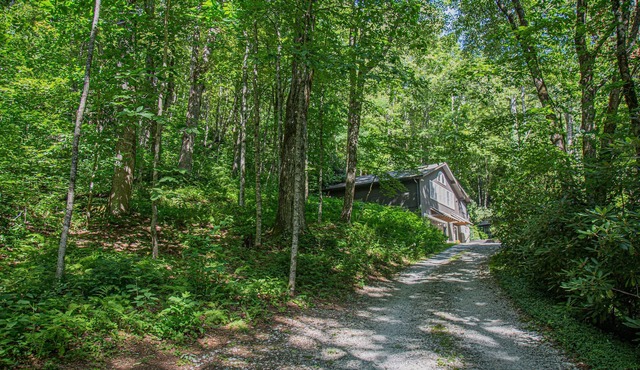 4 Min To Town, Screened Porch, Stunning Wooded Views, Dogs Ok,